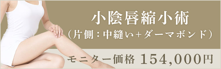 婦人科形成 美容外科 婦人科形成の東京のモティーフ銀座クリニック 婦人科形成 美容外科 婦人科形成の東京のモティーフ銀座クリニック